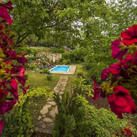 Villa Casa Katarina&luka Višnjan